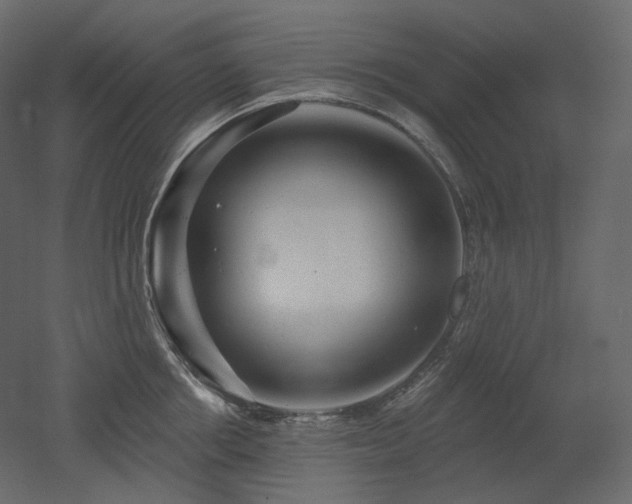 X0000051860858200506241319