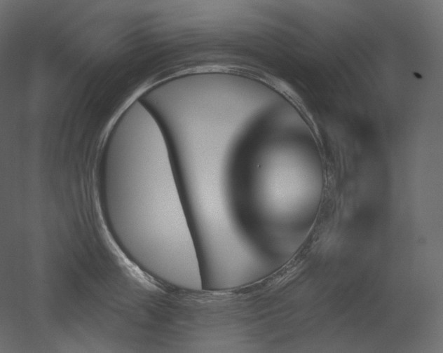 X0000051860859200506241319