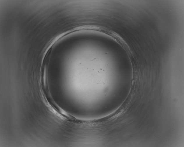 X0000051860860200506241319