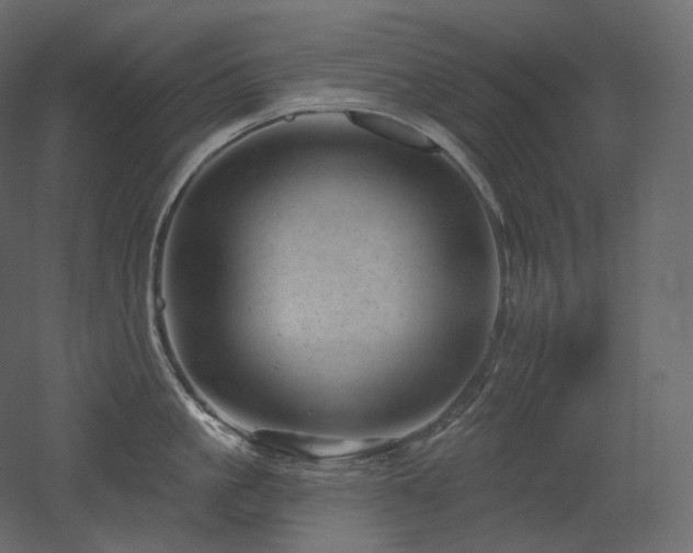 X0000051860861200506241319