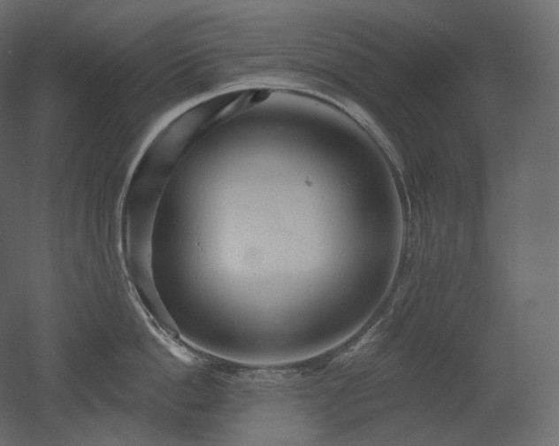 X0000051860862200506241319