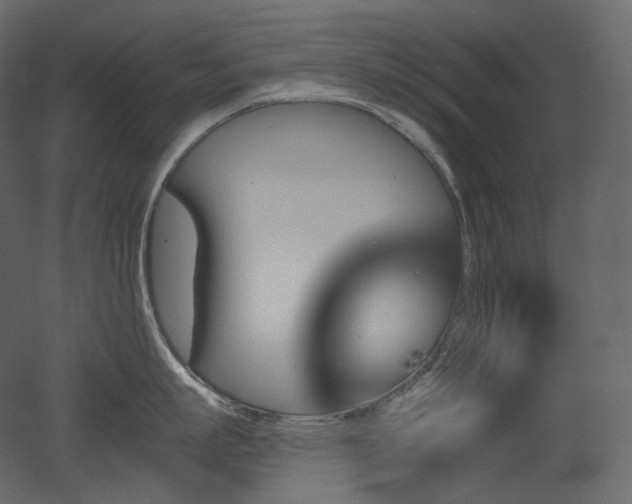 X0000051860863200506241319