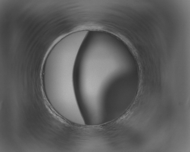 X0000051860864200506241319