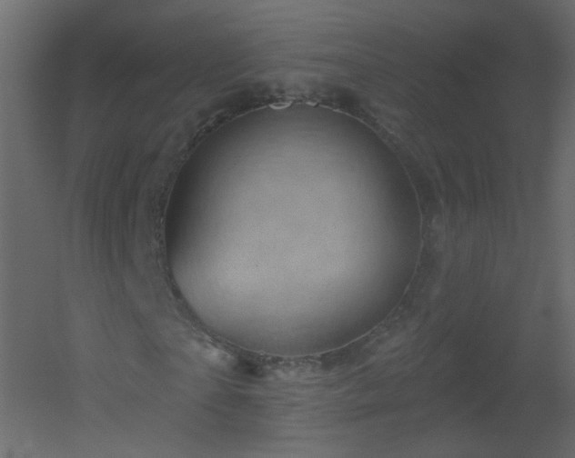 X0000051860865200506241318