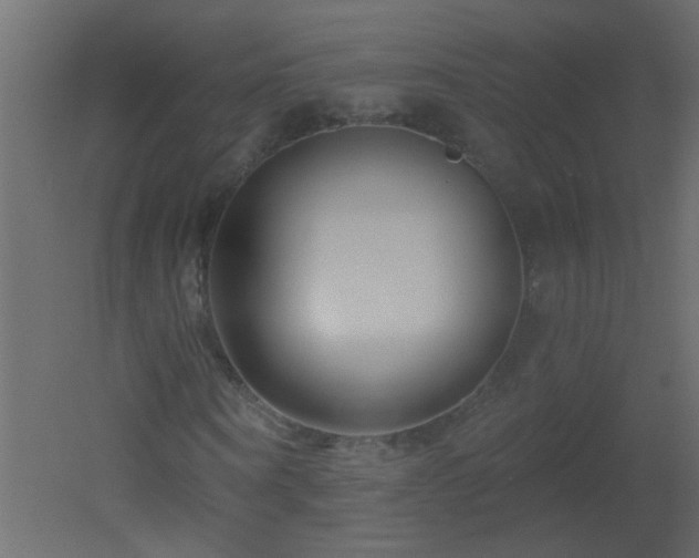 X0000051860866200506241318