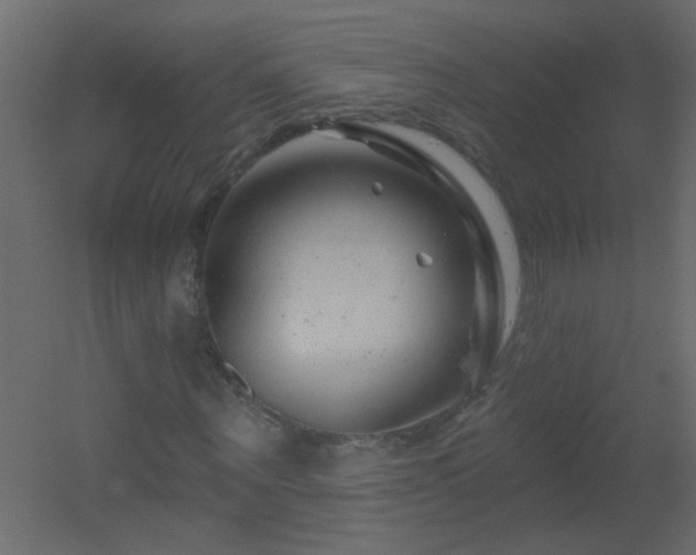 X0000051860867200506241318