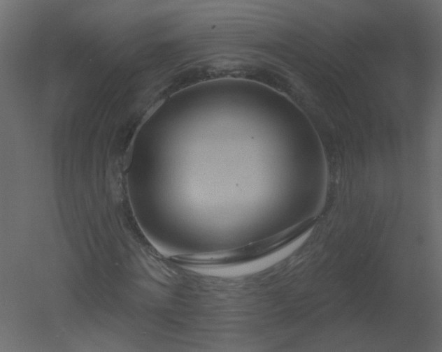 X0000051860868200506241318