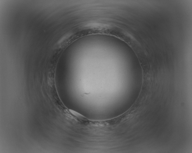 X0000051860869200506241318