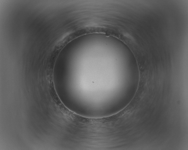 X0000051860870200506241318