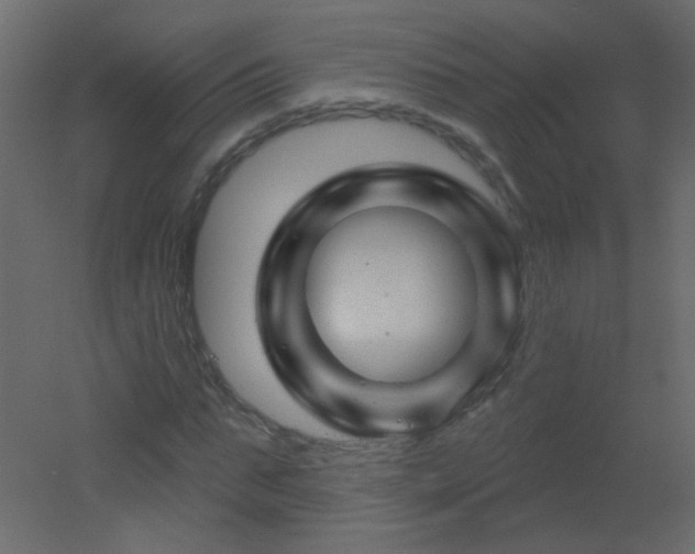 X0000051860871200506241318