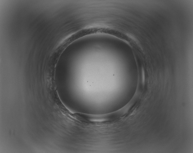 X0000051860872200506241318