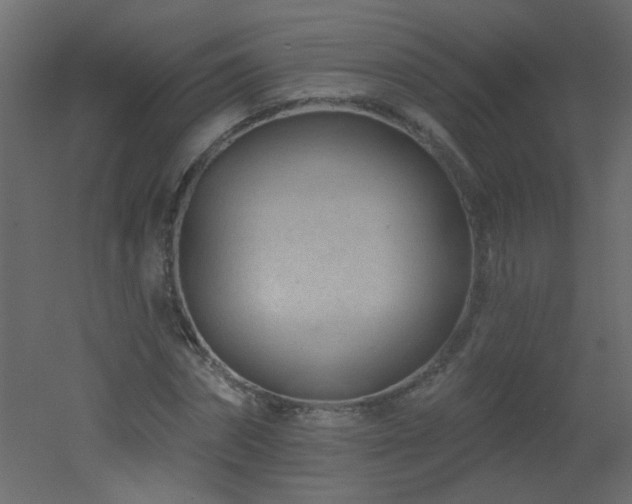 X0000051860874200506241318