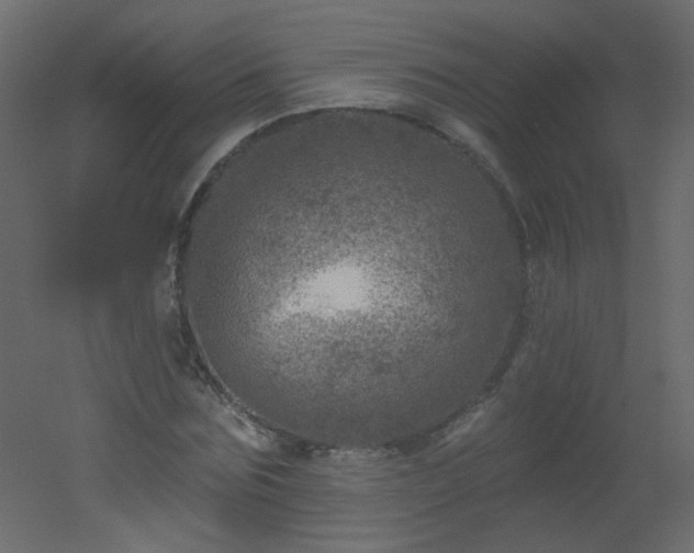 X0000051860875200506241318