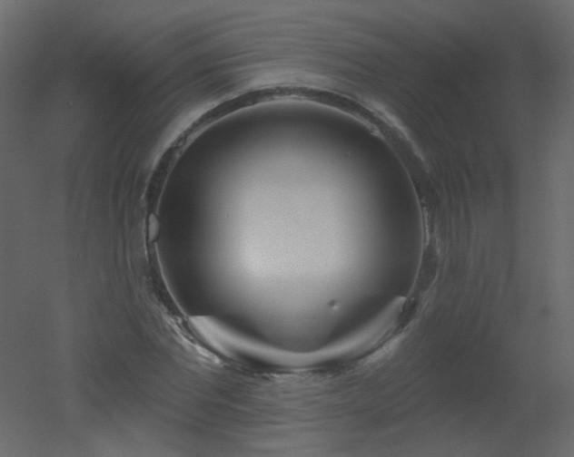 X0000051860877200506241318