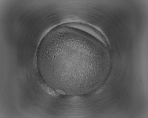 X0000051860879200506241318