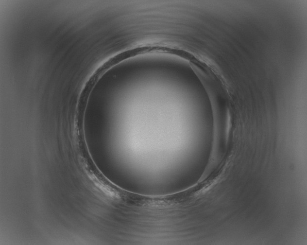 X0000051860880200506241318