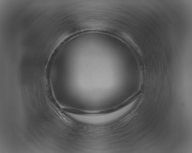 X0000051860883200506241318