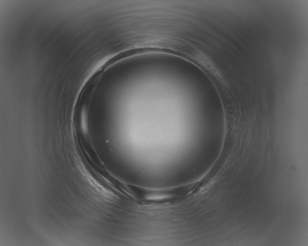 X0000051860884200506241318