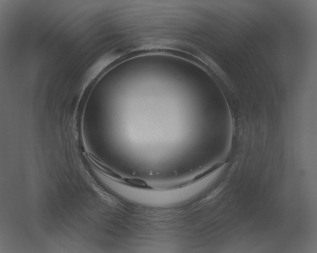 X0000051860885200506241318