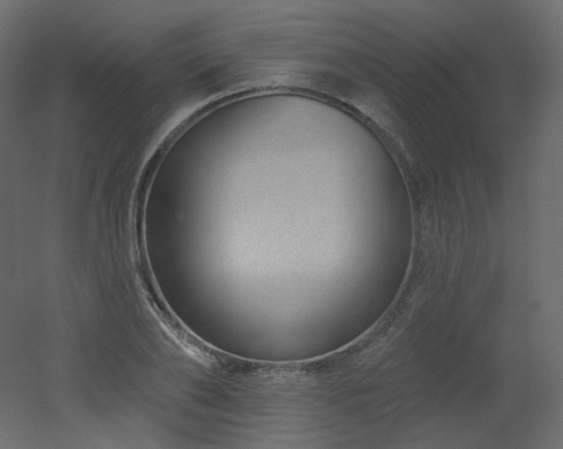 X0000051860886200506241318