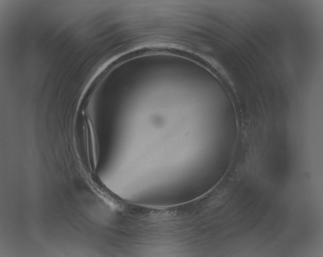 X0000051860887200506241318