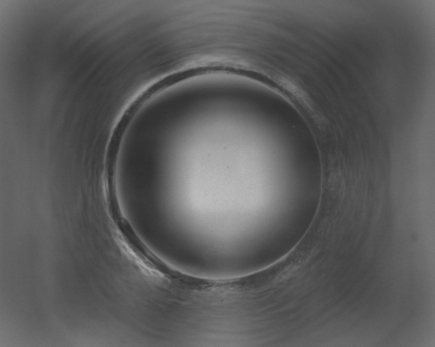 X0000051860888200506241318