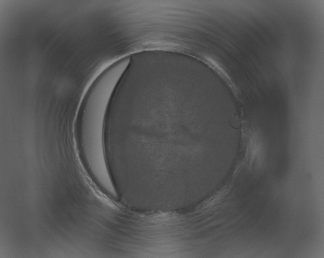 X0000051860891200506241318