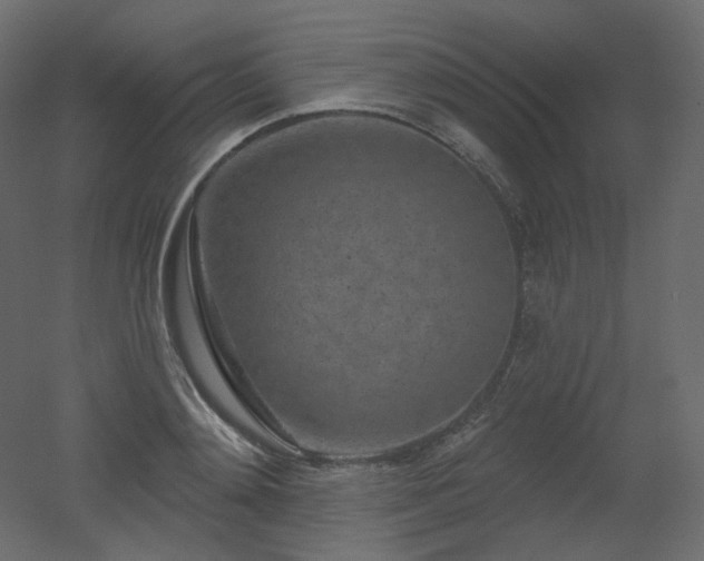 X0000051860892200506241318