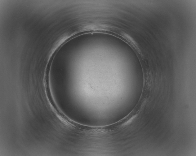 X0000051860893200506241318