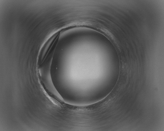 X0000051860894200506241318