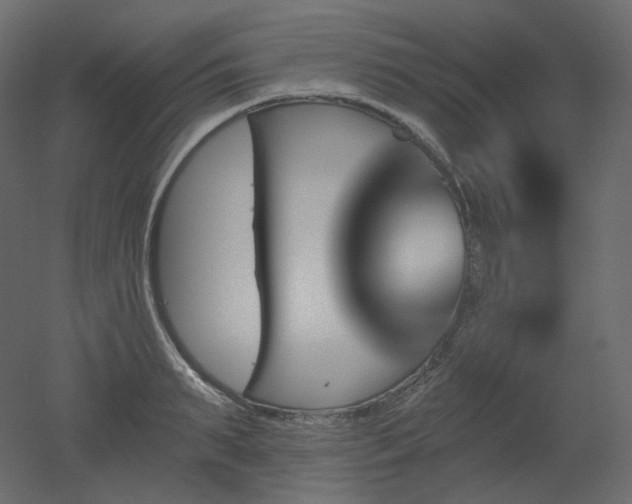 X0000051860895200506241318