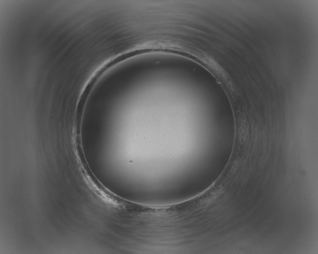 X0000051860896200506241318