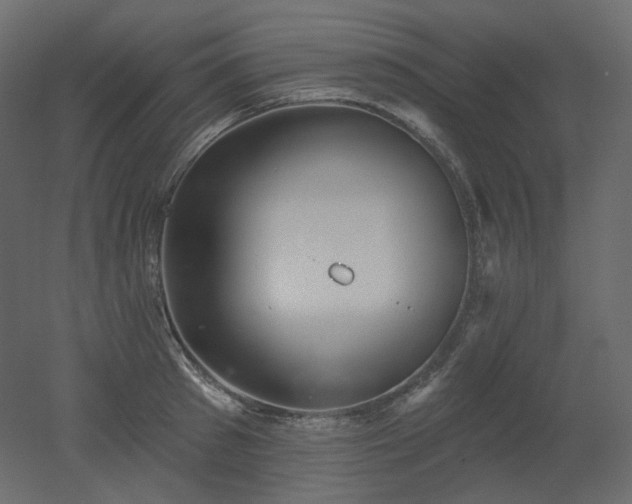 X0000051860897200506241318