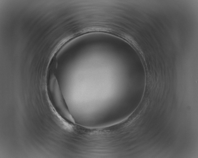 X0000051860898200506241318