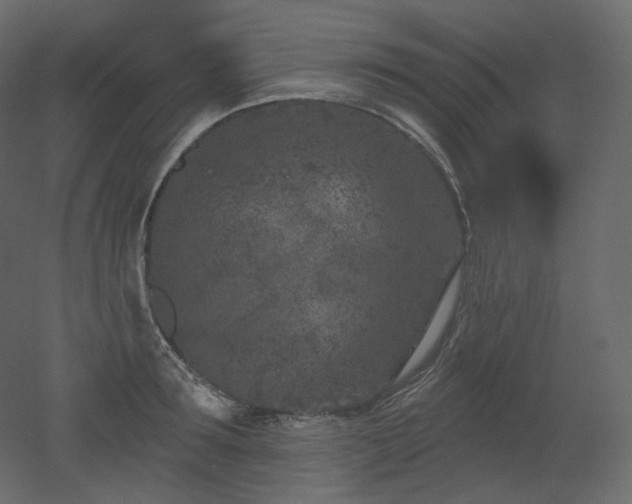 X0000051860899200506241318