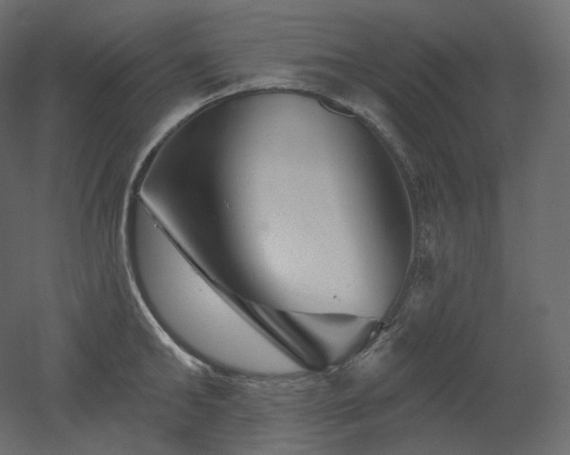 X0000051860902200506241318