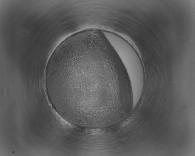 X0000051860903200506241318