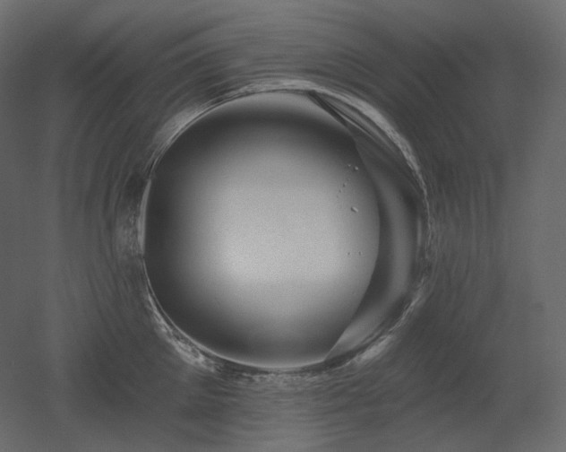 X0000051860905200506241318