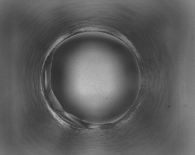 X0000051860909200506241318