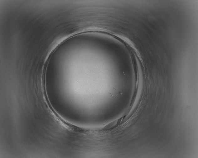 X0000051860910200506241318