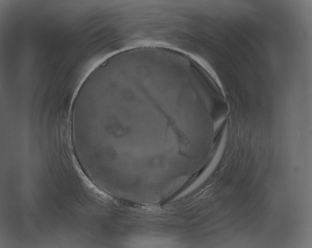 X0000051860911200506241318