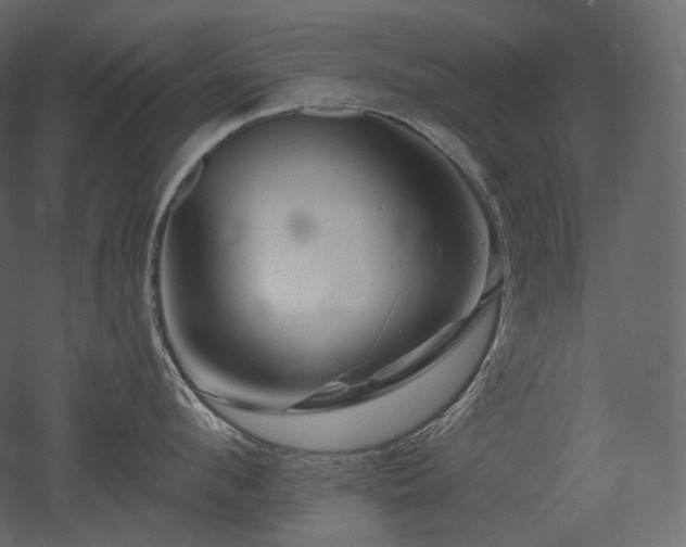 X0000051860912200506241318