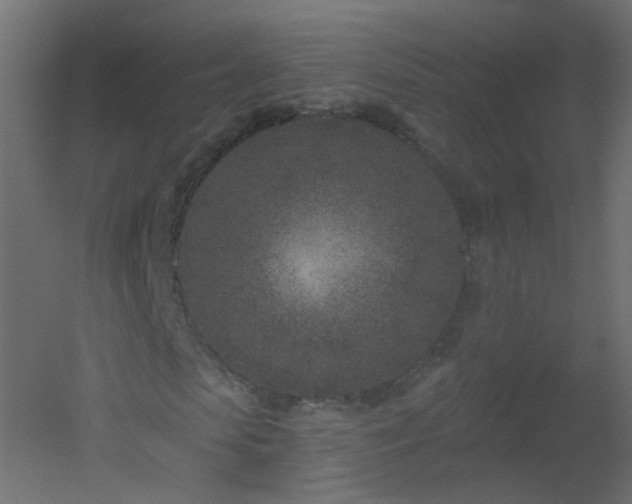 X0000051860913200506241317