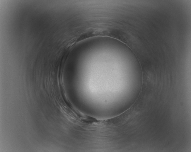 X0000051860914200506241317