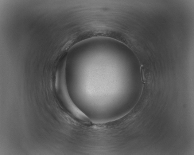 X0000051860916200506241317