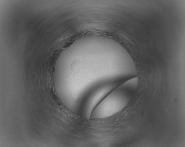 X0000051860917200506241317