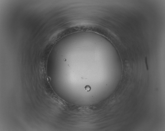 X0000051860918200506241317