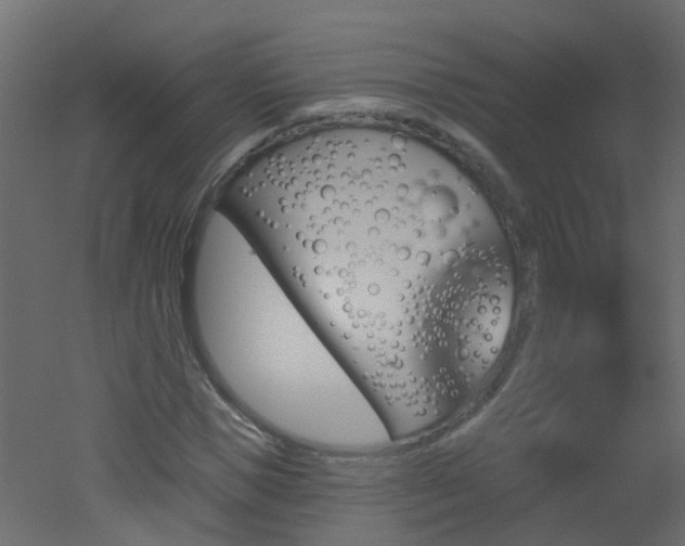 X0000051860921200506241317