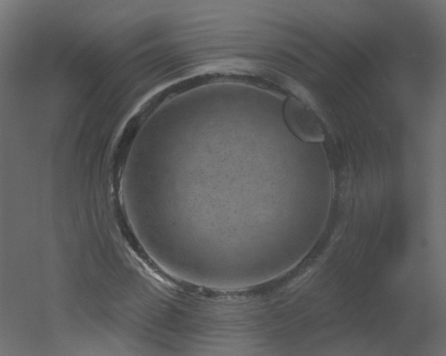 X0000051860923200506241317