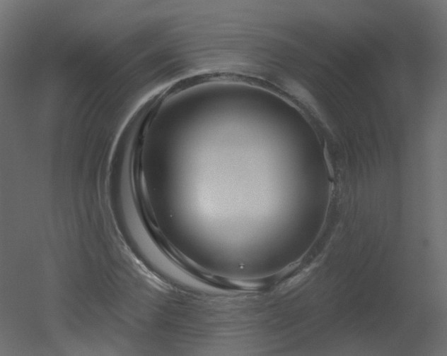 X0000051860924200506241317